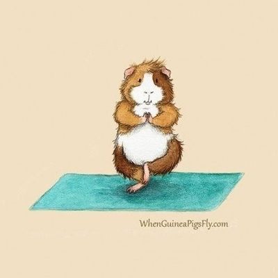 Виктория Ереджибокова