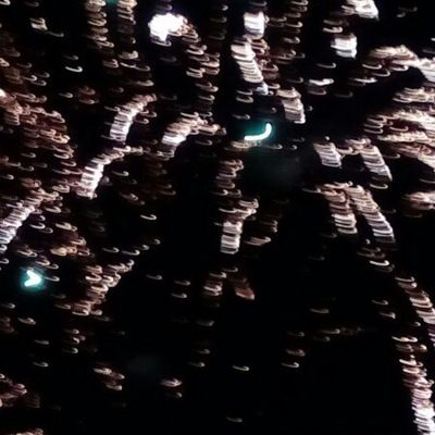 Адиса Таханова