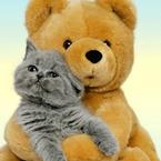 Елена Подлещук