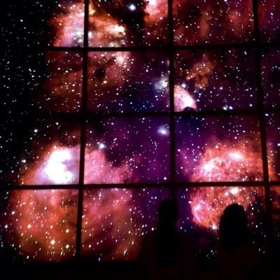 Женя Родина