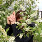 Алексей Стравинский