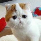 Маша Ванюкова