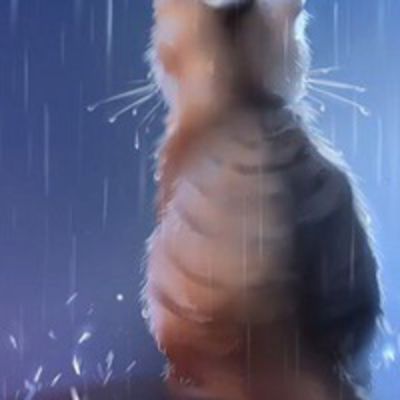 Елена Николайчук