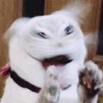 Алексей Белый