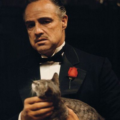 Амина Гусейнова