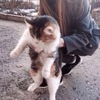 Мира Мушникова