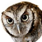 Галина Кузнецова