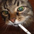 Наталия Валуева