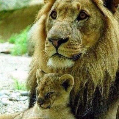 Руслан Маратов