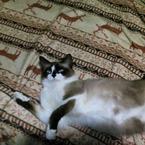 Виктор Квасников