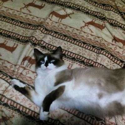 Виктор Квасников