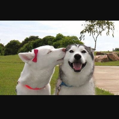 Катя Беляева