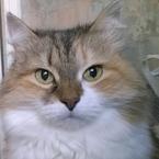 Любовь Березина