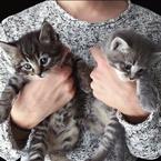 Карена Арсланбекова