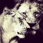 Аслан Елена