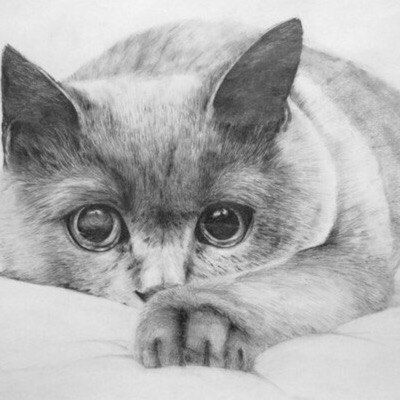 Параскевула Антонопуло