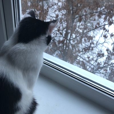 Владимир Лозгачев