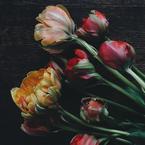 Валентина Назарчук