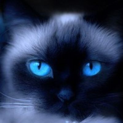 Татьяна Гадалина