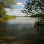 Зулия Саулина