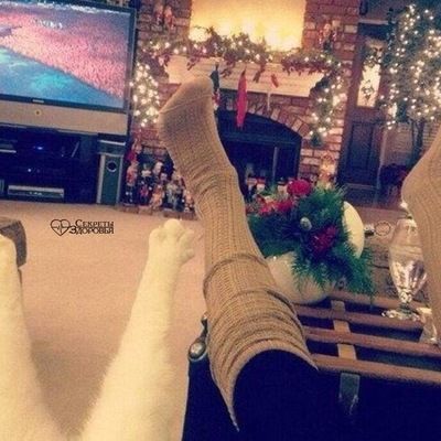 Татьяна Борисова