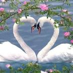 Резеда Хаертдинова