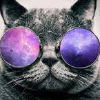 Дарья Миронова