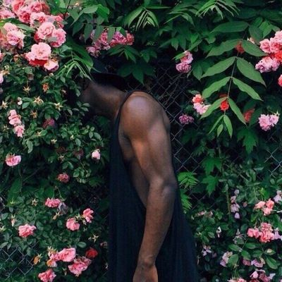 Анна Василькова