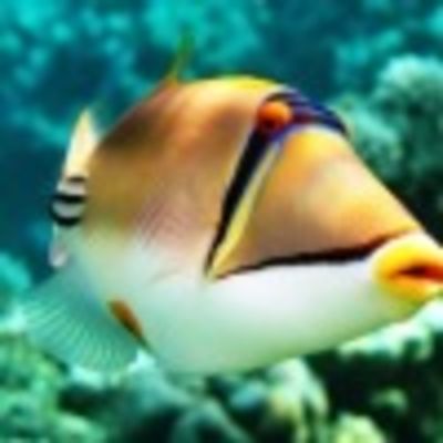 Владимир Иванов