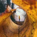 Анна Чернакова