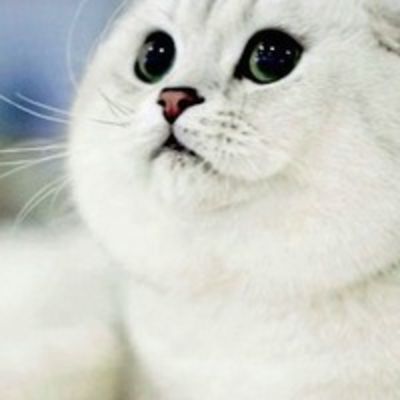 Елена Ромашкина