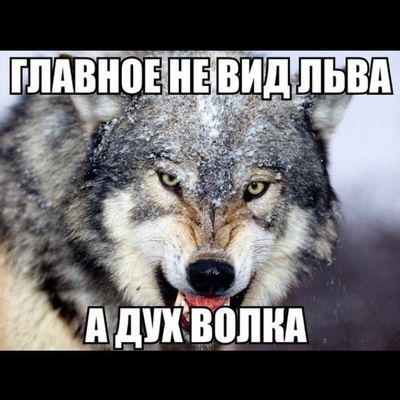 Руслан Книшев