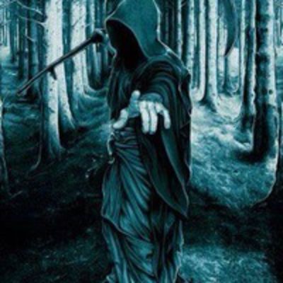 Magdalena Stupkiewicz