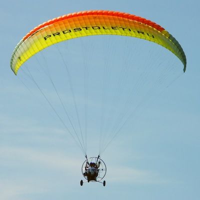 Светлана Фирсова