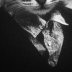 Влад Клюкин