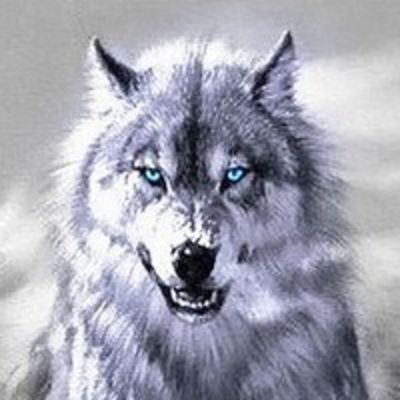 Злой Волк