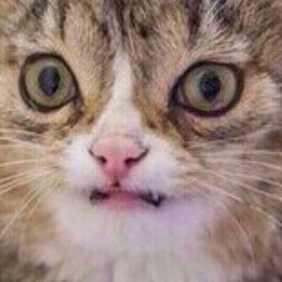 Алексей Михеев