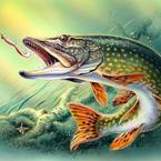 Алексей Кабаев