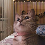 Олеся Насибуллина