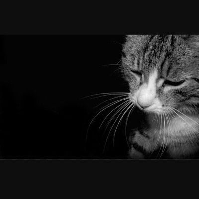 Яна Аветисян