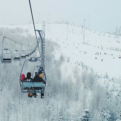 Дарья Зайцева