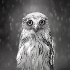 Александр П.