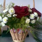 Александра Шумихина