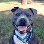 Леонид Амосов