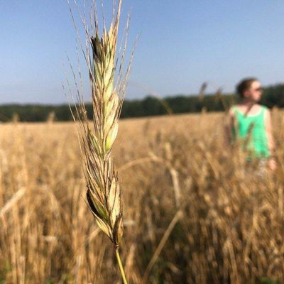 Ekaterina Golovanova