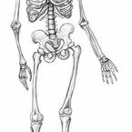 Давуд Давудов