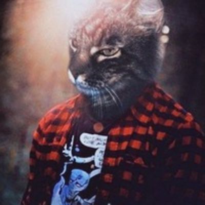 Максим Солодов