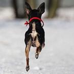 Ирина Павлова