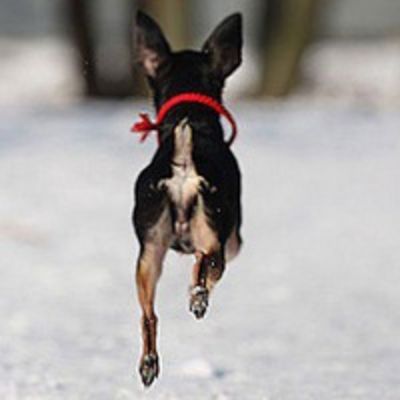 Ирина Павлова