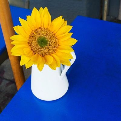 Аллочка Тиманова